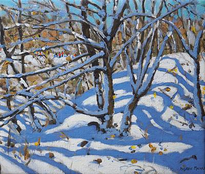 ANDREW MACARA  - the copse, newhaven, derbyshire